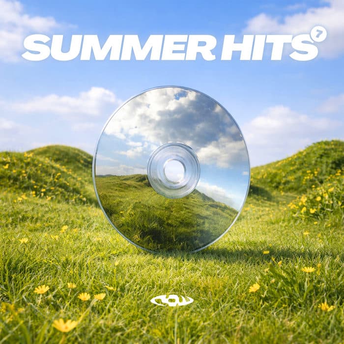 RAW Summer Hits 7 cover artwork
